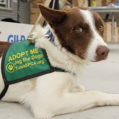 Custom Adopt Me Vest