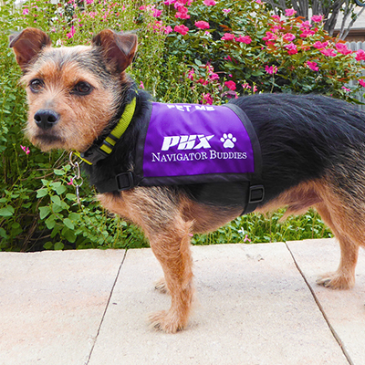 Custom vest Phoenix Airport