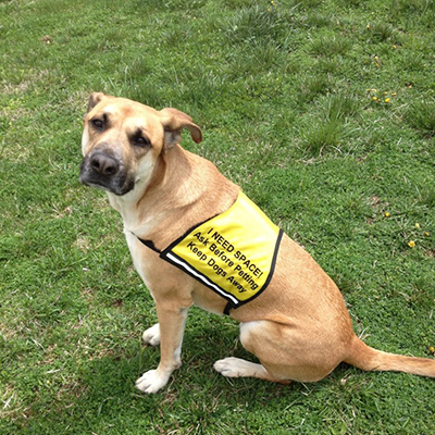 Custom Design Vest Text Only Vest