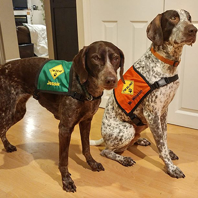 Deaf Dog and Blind Dog