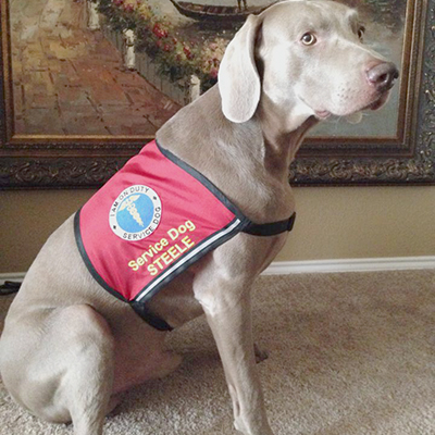 Caduceus Service Dog Vest
