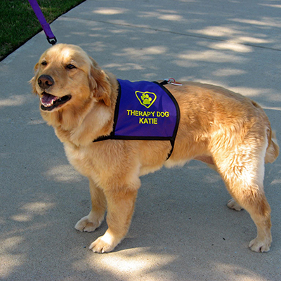 Therapy Dog Heart and Paw Royal Blue