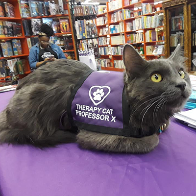 Custom Vest With Heart and Paw Logo