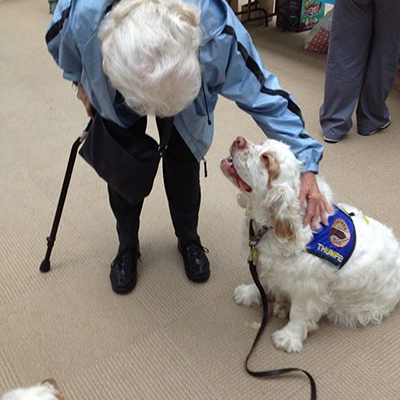 Colored Hand And Paw Therapy Dog Vest