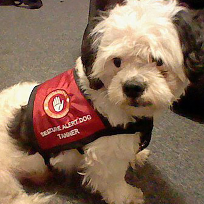 Working Dog Seizure Vest