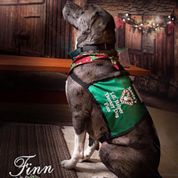 Santas Lil Helper Therapy Dog Vest