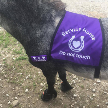 Custom Service Horse Vest With added Training Wrap