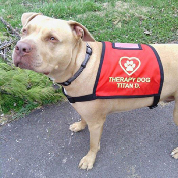 Heart and Paw Therapy Dog Vest In Red