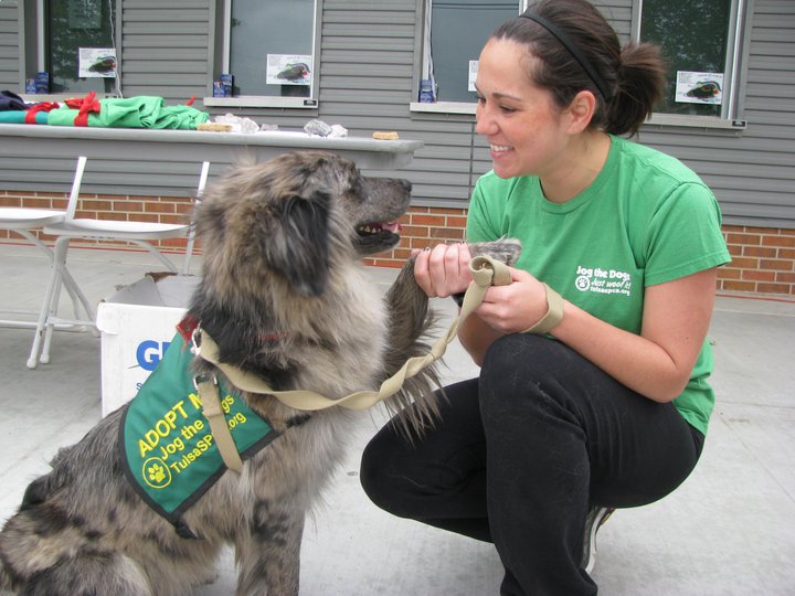 501c dog vests by therapy dog vest